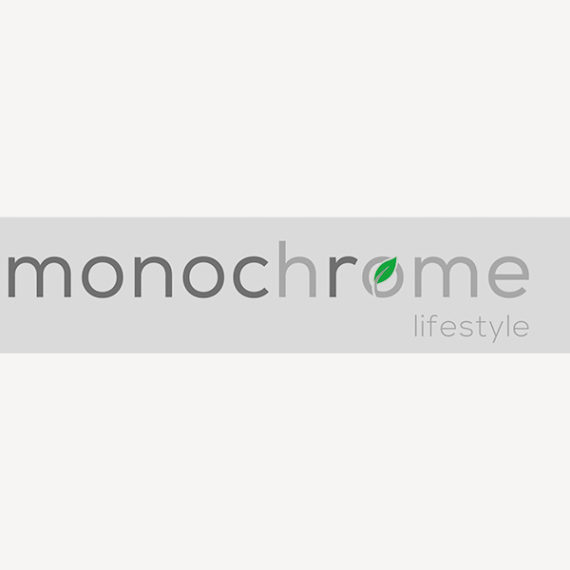 Logo monochrome home